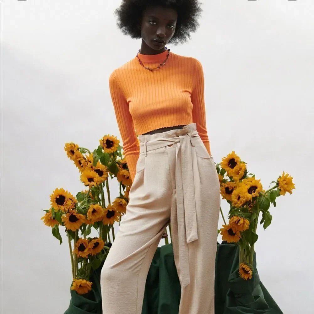 Zara Ribbed Crop Top